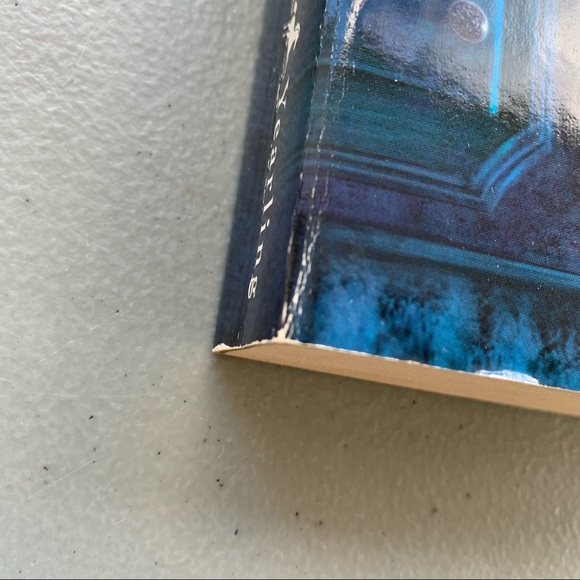 Dandelion Fire- Book2 of the 100 Cupboards- paper back by N.D Wilson - Picture 5 of 8